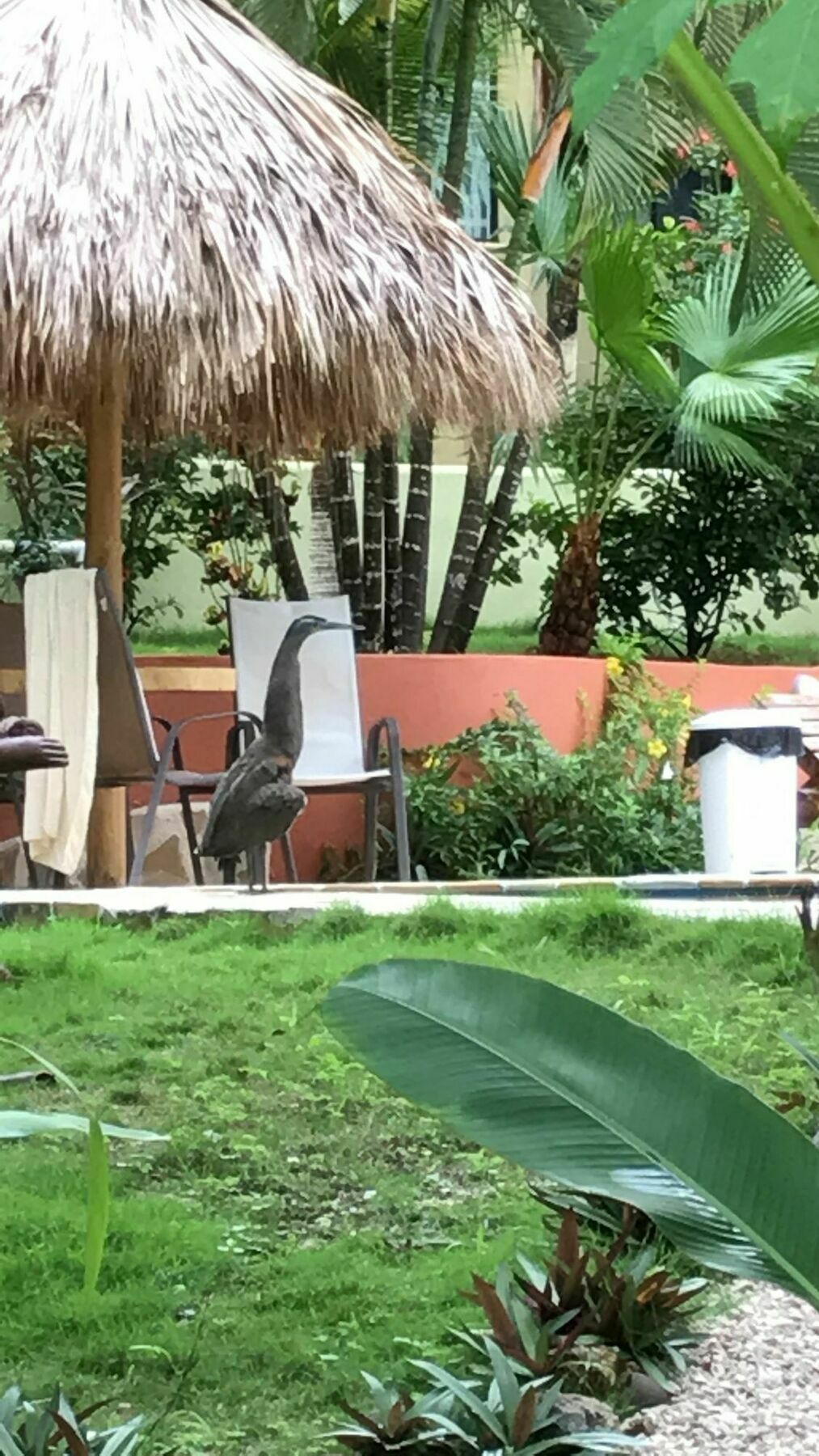 Fuego Lodge Playa Santa Teresa  Экстерьер фото